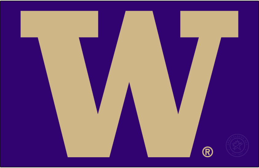Washington Huskies 2016-Pres Alt on Dark Logo iron on transfers for clothing